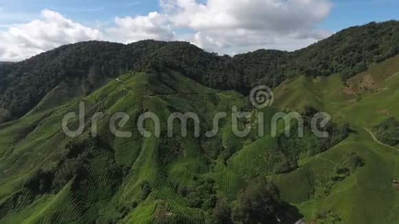 卡梅隆高地的空中视频视频的预览图