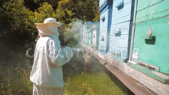 养蜂人在蜂群里工作的蜂群飞行多彩蜂窝慢动作视频养蜂人视频的预览图