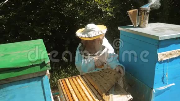 养蜂人在蜂群里工作的蜂群飞行多彩蜂窝慢动作视频生活方式蜜蜂制造者视频的预览图