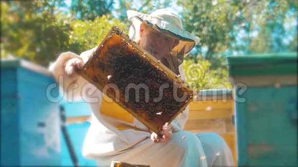 养蜂人手里拿着满是蜜蜂的蜂窝养蜂人在养蜂场检查蜂窝框架养蜂概念慢视频的预览图