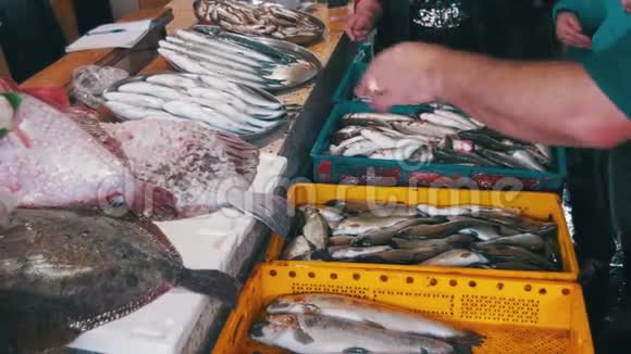 鱼店柜台上的新鲜海鱼视频的预览图
