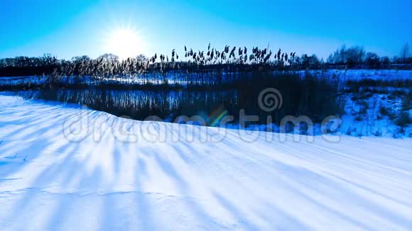 冬天日落冬季景观视频的预览图