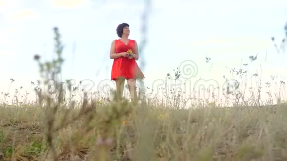 加上尺寸时尚模特在慢动作视频上行走的草地肥婆对大自然的野草生活方式视频的预览图