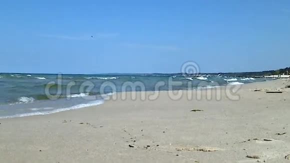 波罗的海海滩视频的预览图