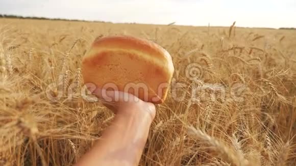 人的生活方式就像麦田里的面包慢动作视频麦田成功的农业家收获视频的预览图