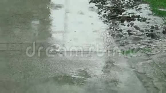 热带夏雨视频的预览图