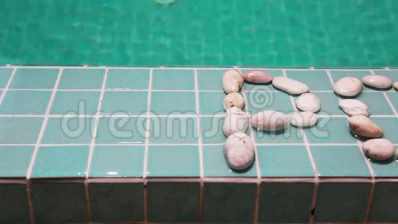 铭文池是用鹅卵石在水池的一成的视频的预览图