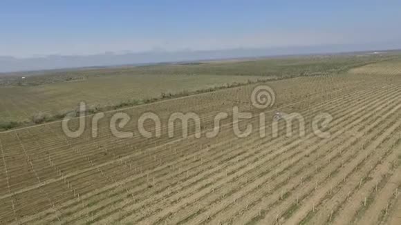 用无人机在空中拍摄收获作物的工业画面葡萄园收获农业的一排又一排视频的预览图