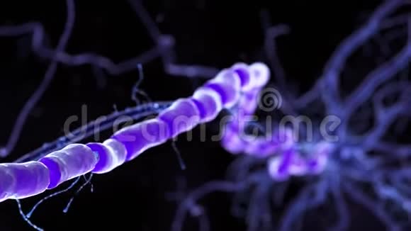 一个人的神经细胞视频的预览图