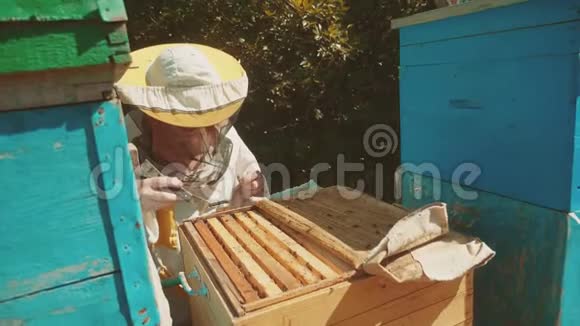 养蜂人在蜂房工作蜂群生活方式多彩蜂窝慢动作视频蜜蜂制造者视频的预览图