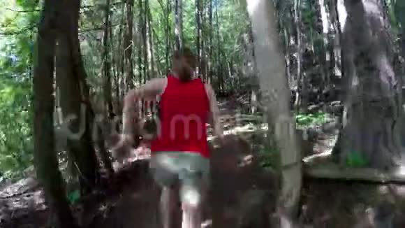 阳光明媚的一天女人在森林里慢跑视频的预览图