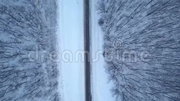 冬季森林道路鸟瞰图冬季景观视频的预览图