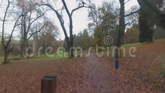 美丽的秋天公园视频的预览图