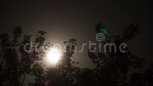 满月通过乌云和树木在夜空中移动时间流逝视频的预览图