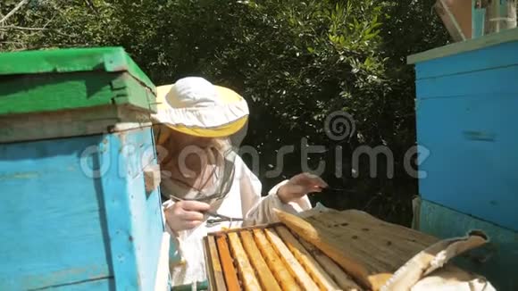 养蜂人在蜂群里工作飞行多种颜色的生活方式蜂箱慢动作视频蜜蜂制造者视频的预览图