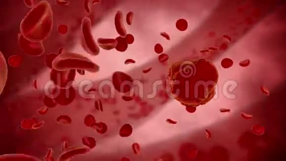病毒细菌微生物医学概念在人类有机体内部视频的预览图