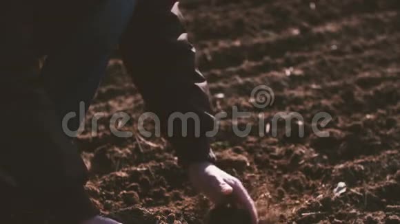 农户双手扶倒有机土土壤农业阳光视频的预览图