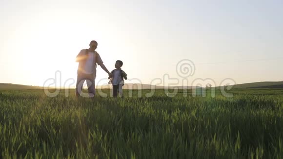 日落时分父亲和儿子在田野上散步视频的预览图