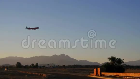 空中客机降落在埃及山脉和棕榈树的背景上视频的预览图