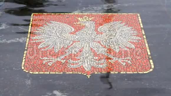 俄罗斯诺夫哥罗德的汉萨喷泉视频的预览图