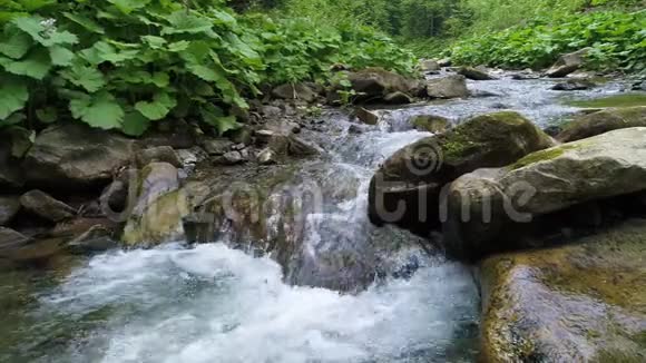 喀尔巴阡山美丽的河流视频的预览图