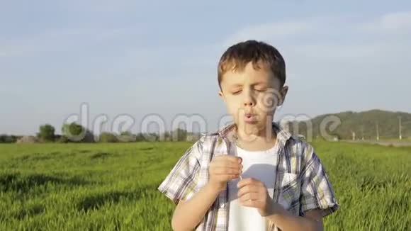一个快乐的小男孩在白天在田里玩视频的预览图