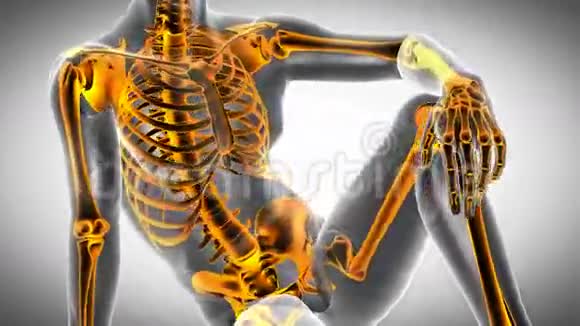人体骨骼X线扫描医疗录像视频的预览图