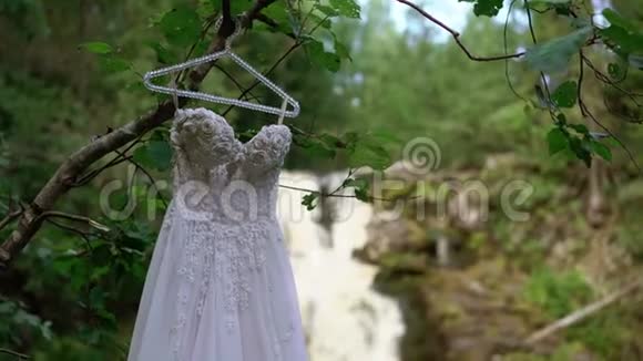 瀑布附近的婚纱视频的预览图
