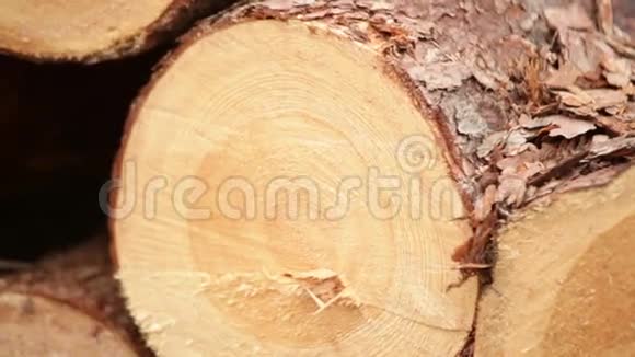 木材原木厂视频的预览图