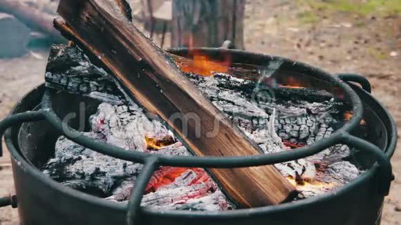 烧烤炉上烧柴烧煤的篝火视频的预览图