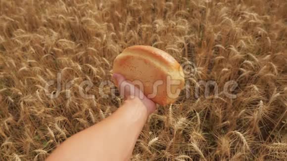 人在麦田里捧着一个金色的面包慢生活方式运动视频小麦领域的成功农学家视频的预览图
