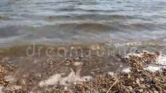 波在池塘上视频的预览图
