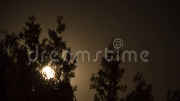 满月通过乌云和树木在夜空中移动时间流逝视频的预览图