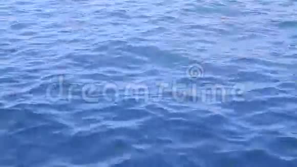 海水背景视频的预览图