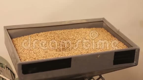啤酒厂生产啤酒用麦芽的研磨电动磨机视频的预览图