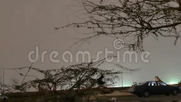 树上的月光在夜晚随着移动的相机流逝视频的预览图