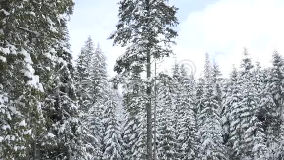 冬天美丽的山脉景观视频的预览图