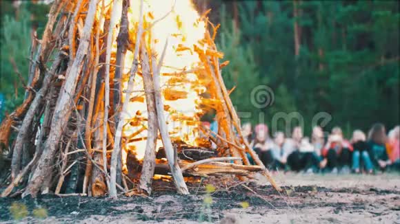 人们背景下森林中的树枝夜间燃烧的篝火视频的预览图