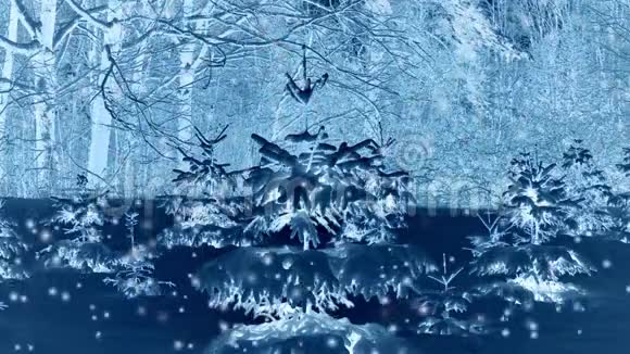 森林树在冬天的夜晚下雪视频的预览图