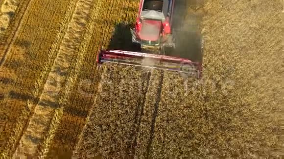 联合收割机在麦田上的鸟瞰图视频的预览图