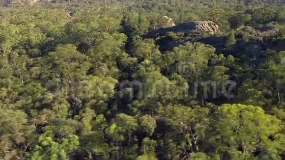 空中拍摄的山脉和森林视频的预览图