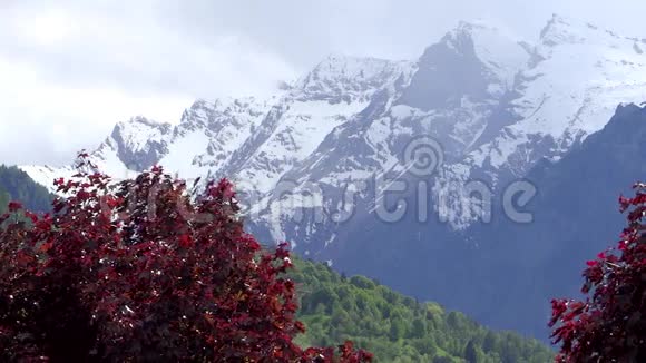 高山景观视频的预览图