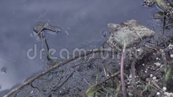 大量垃圾污染我们的水域视频的预览图