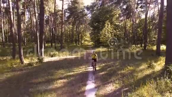 骑自行车的人骑着森林小径视频的预览图