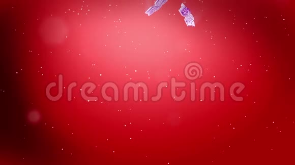 美丽的三维雪花漂浮在空气中的红色背景用作圣诞节新年贺卡或冬季环境的动画视频的预览图