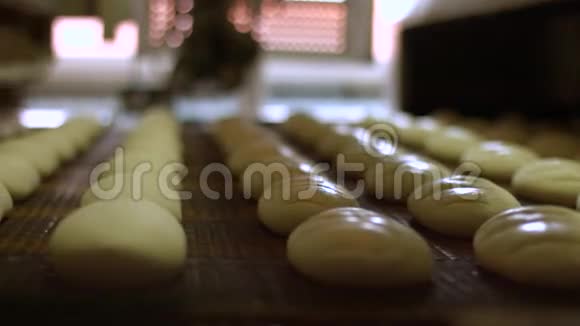 烘焙面包的车间视频的预览图