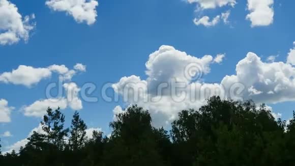 云彩在蓝天上飞过树木时间流逝视频的预览图