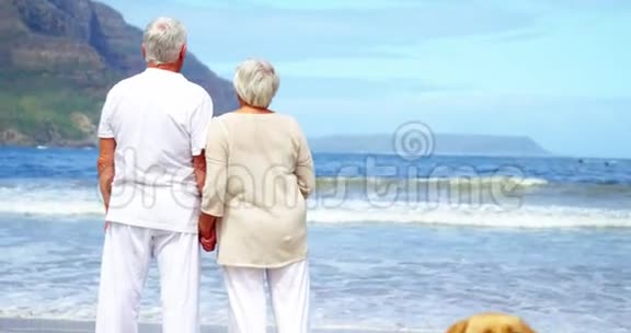 年长夫妇站在海滩上视频的预览图