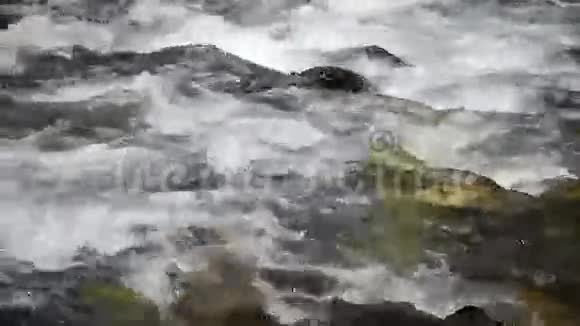 山中的溪水视频的预览图