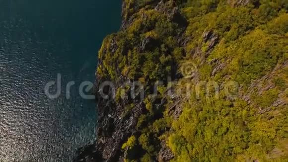 海景有森林的海洋悬崖空中观景视频的预览图